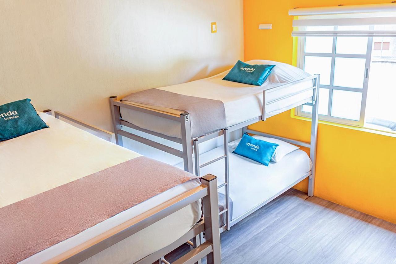 Ayenda La Selva Hotel Kota Meksiko Bagian luar foto